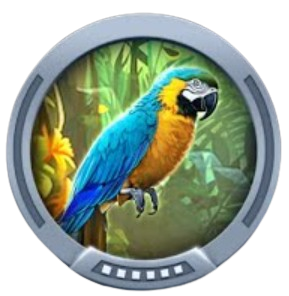 Frankie The Parrot